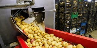 NSK-Wälzlager mit Dreifachlippendichtung in Gemüseverarbeitungsanlagen Wälzlager